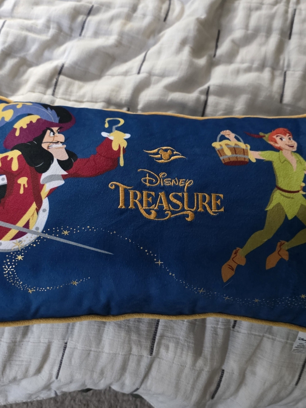 Disney Treasure Pillow